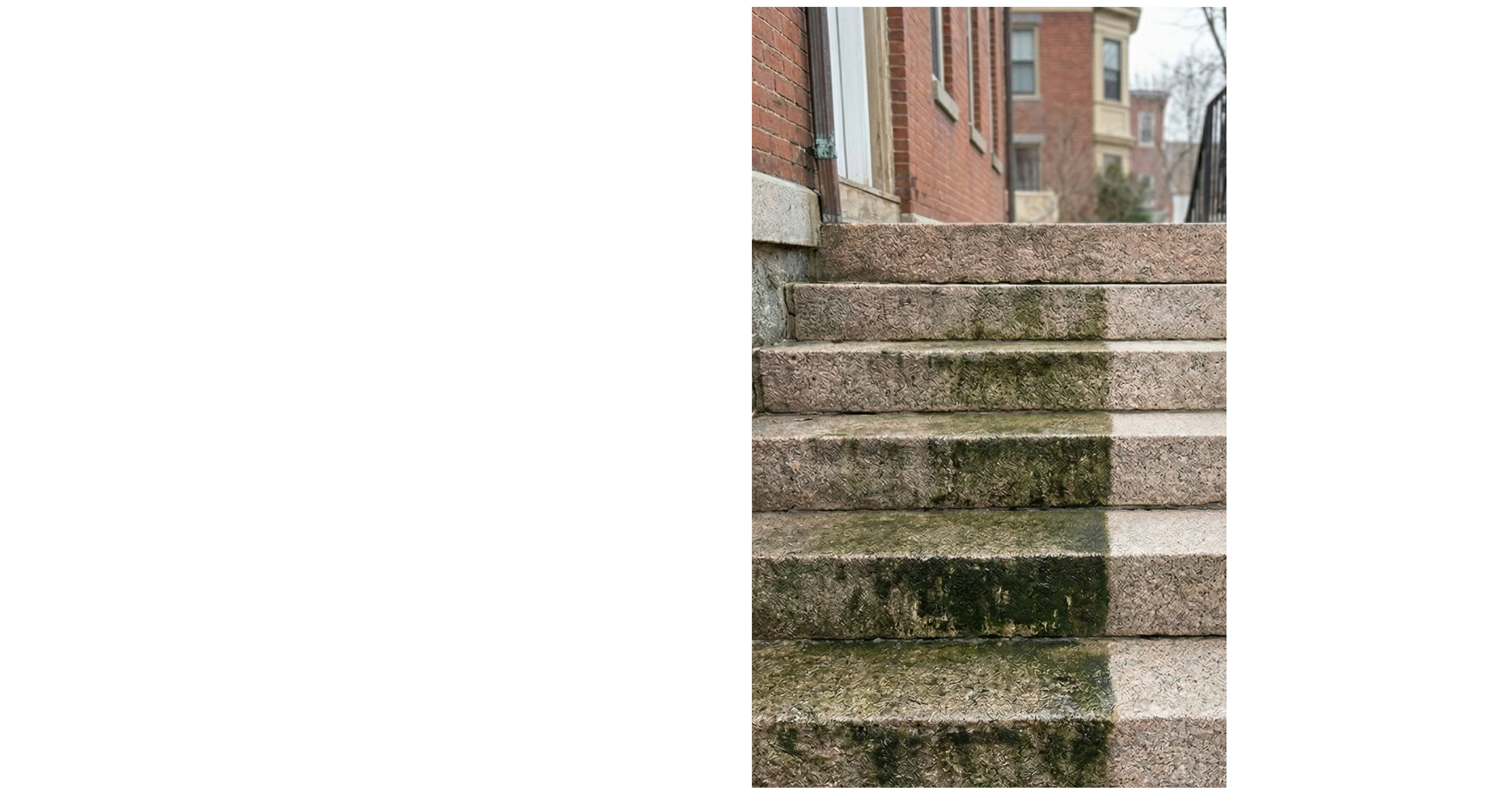 Granite steps mid-biofilm removal — green algae and biological growth being laser cleaned from Portland stonework
